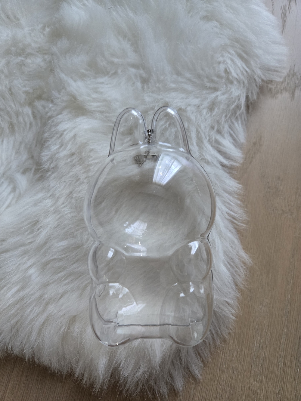Clear Labubu Acrylic Case Transparent